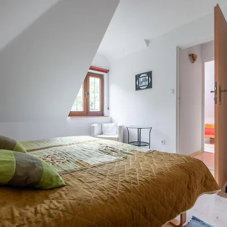 Holiday Borowikowa Tatil Evi Sasino