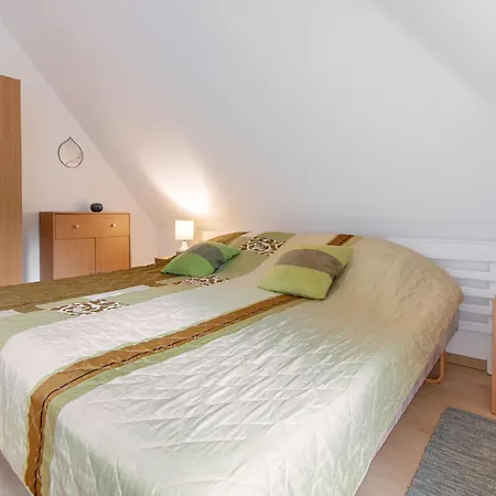 Tatil Evi Holiday Borowikowa