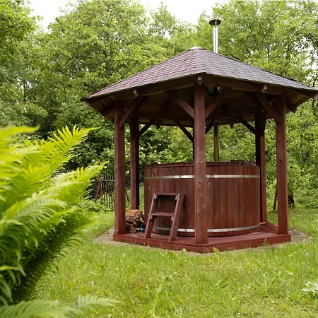 Tatil Evi Holiday Borowikowa