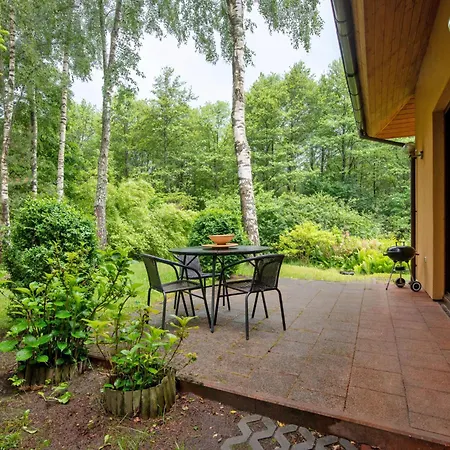 Holiday Borowikowa Tatil Evi